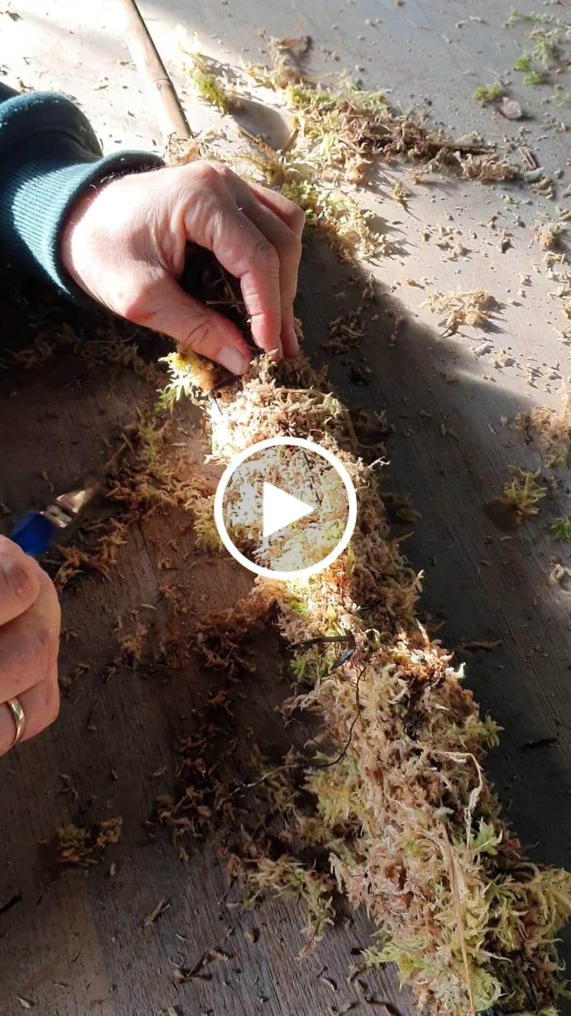 Customer video review of Sphagnum Moss