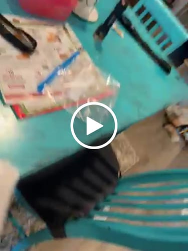 Customer video review of Purple Push Pop -THCa Flower