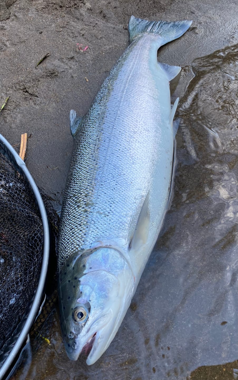 Customer photo review of Bead Hooks - Light Wire