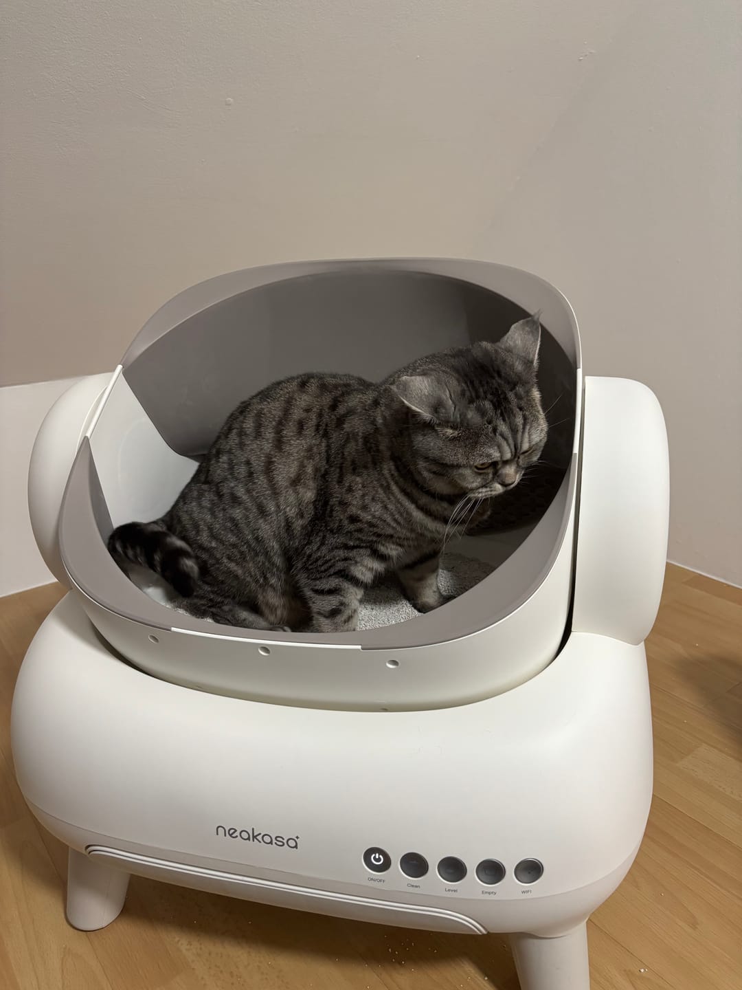 Customer photo review of Neakasa M1 Lite Plus Automatische Katzentoilette – Verbesserte Version