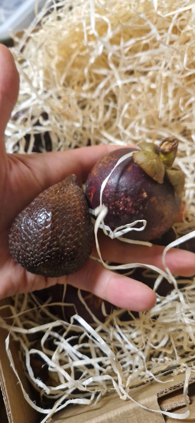 Customer photo review of Salak (Schlangenfrucht) naturbelassen