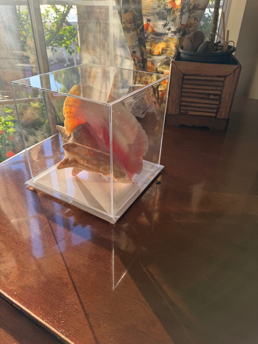 Customer photo review of Versatile Acrylic Display Cases with Double Sheet Base with Clear Case