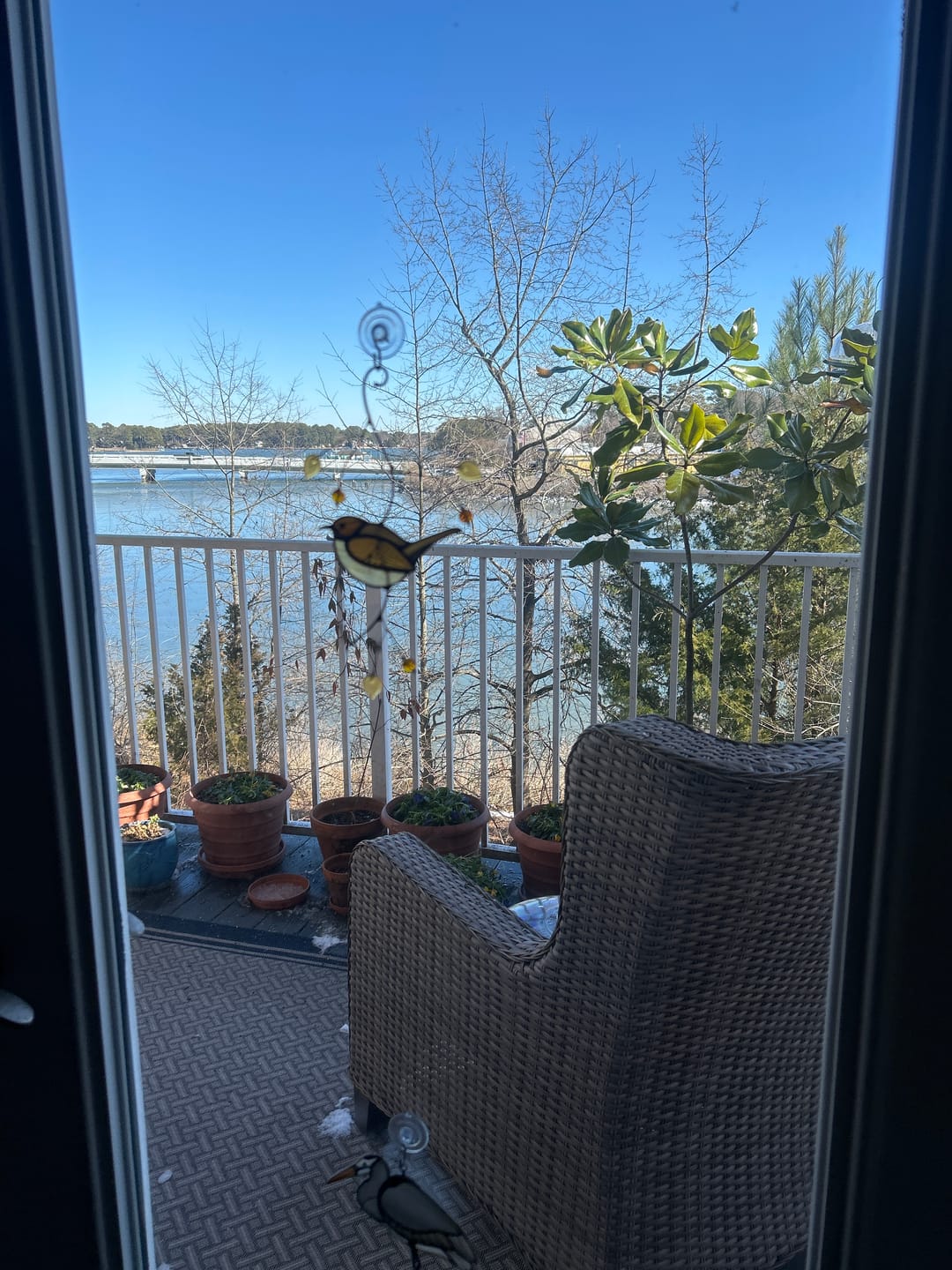 Customer photo review of Carolina Wren - Stained Glass Suncatcher