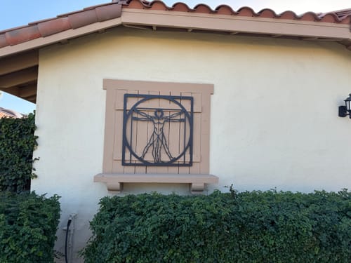 Customer photo review of Vitruvian Man Metal Wall Art