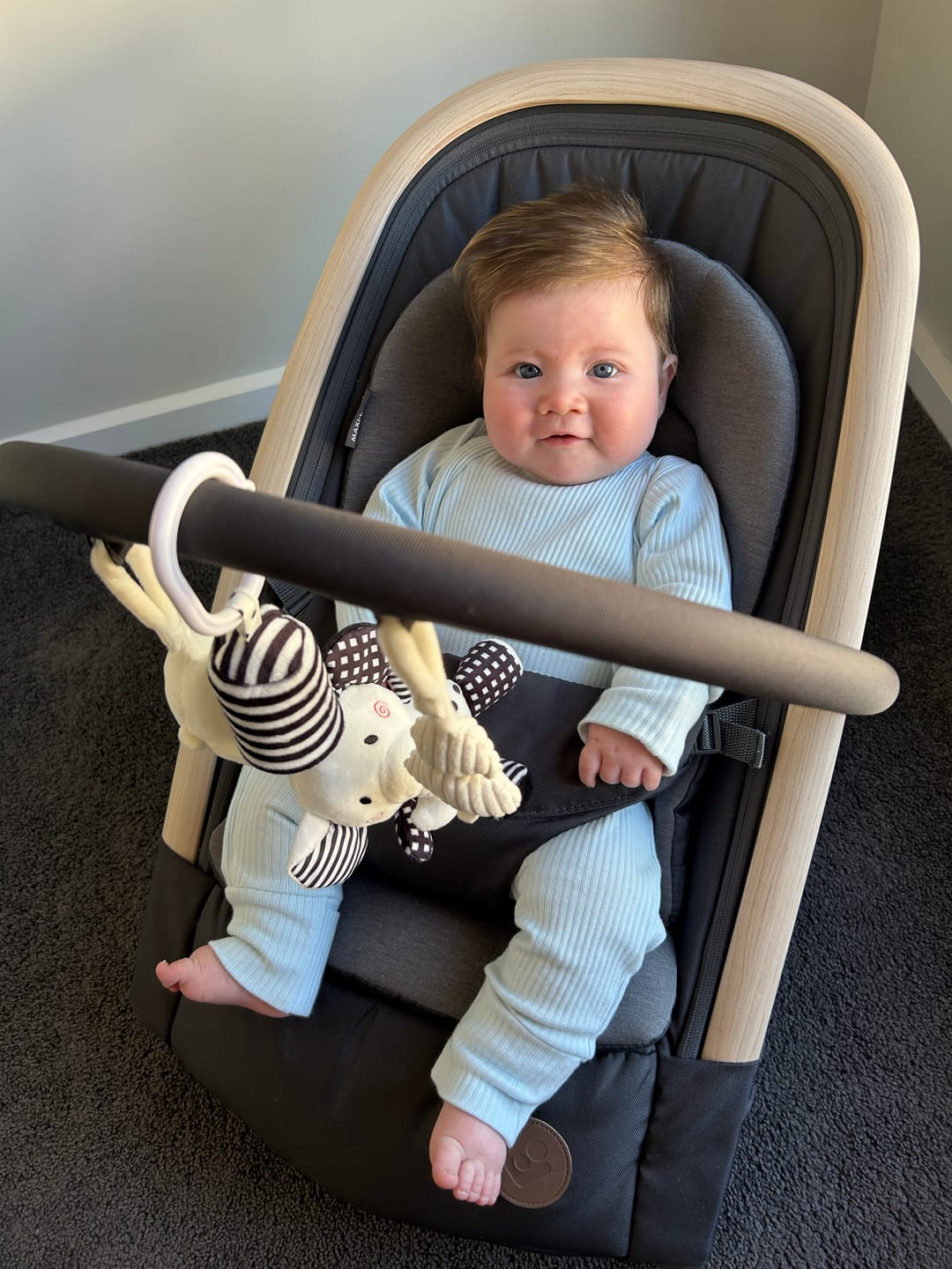 Customer photo review of Hanging Plush Toy - "Eli the Elephant"