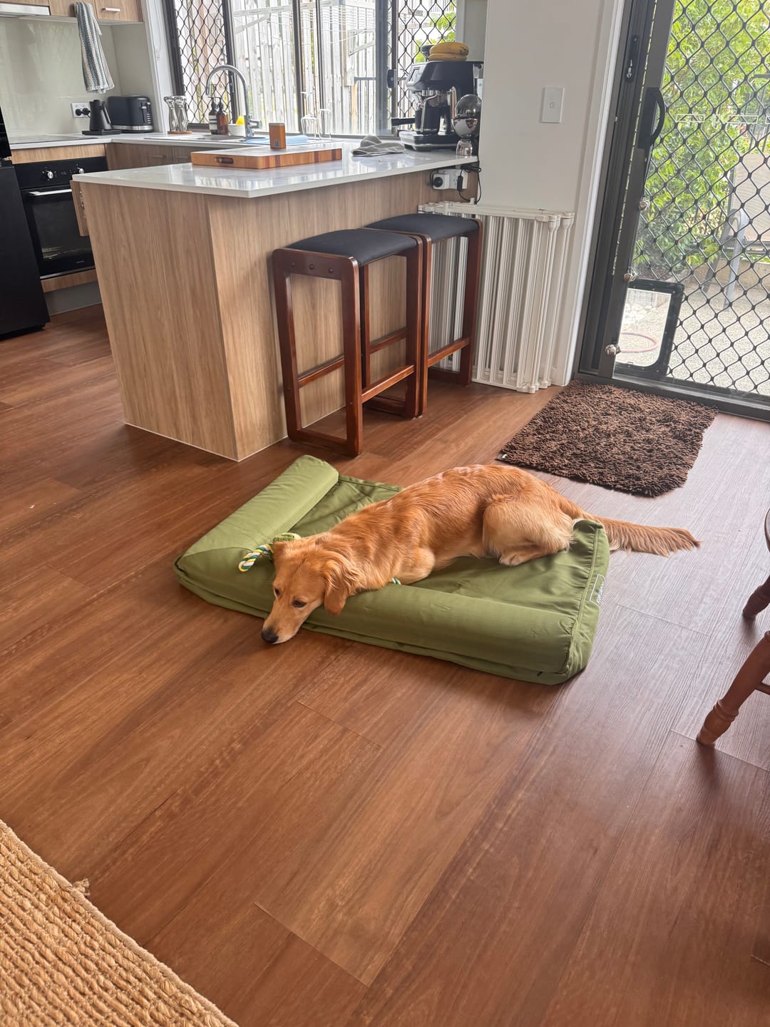 Customer photo review of Pillow Edge Crate Mat Cover