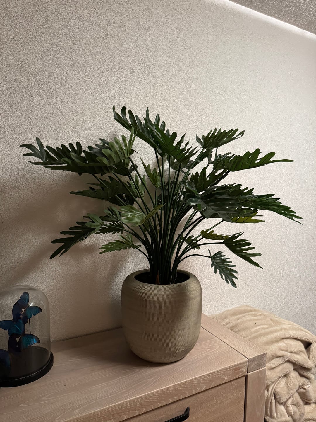 Customer photo review of Philodendron Kunstplant 75cm
