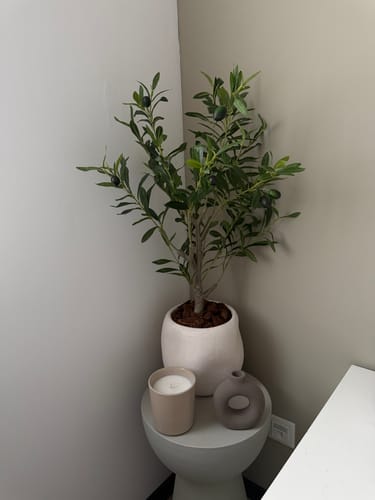 Customer photo review of Kunst Olijfboom 80cm