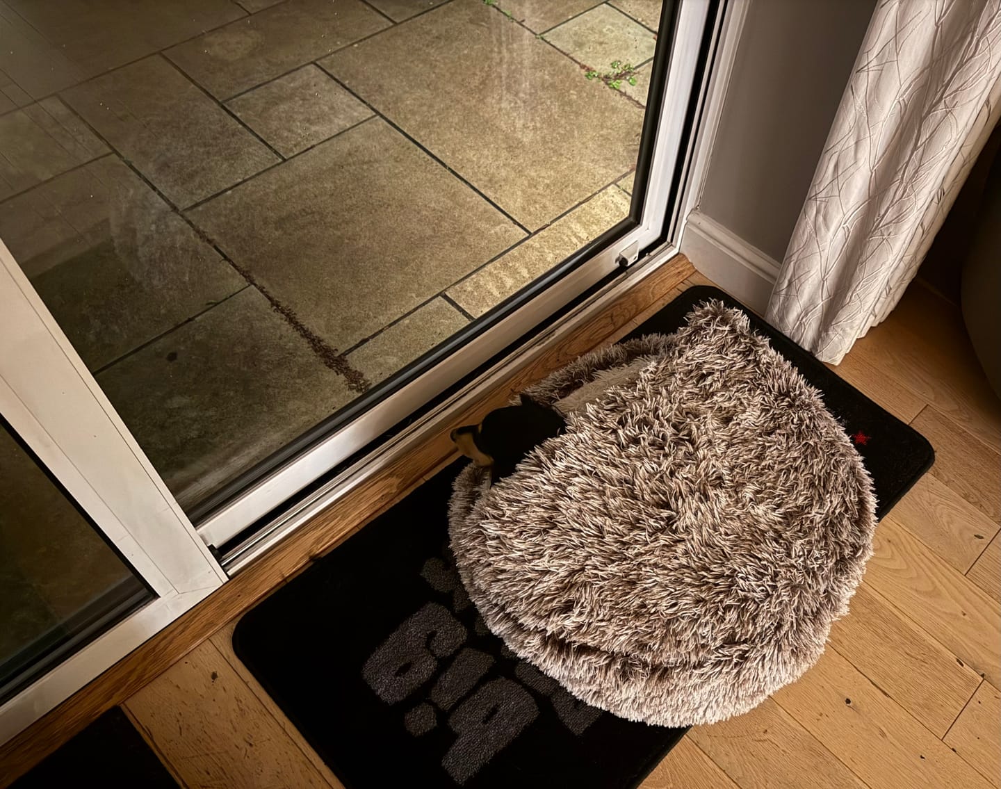 Customer photo review of Burrow Buddy™ - Pet Bed