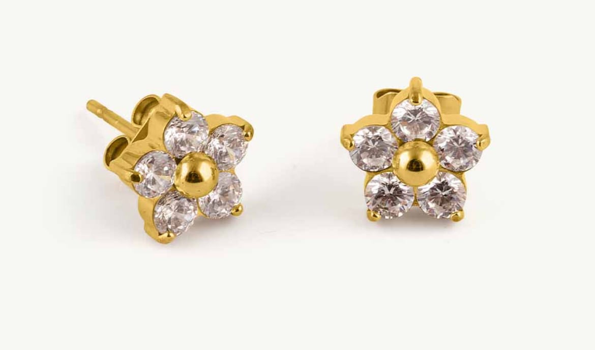 Customer photo review of Crystal Nova Studs