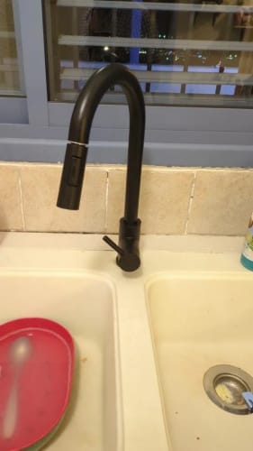 Customer photo review of Karlstad - Three-Way Kitchen Faucet with Filter Tap & Pull-Out Spout for Kitchen Sink