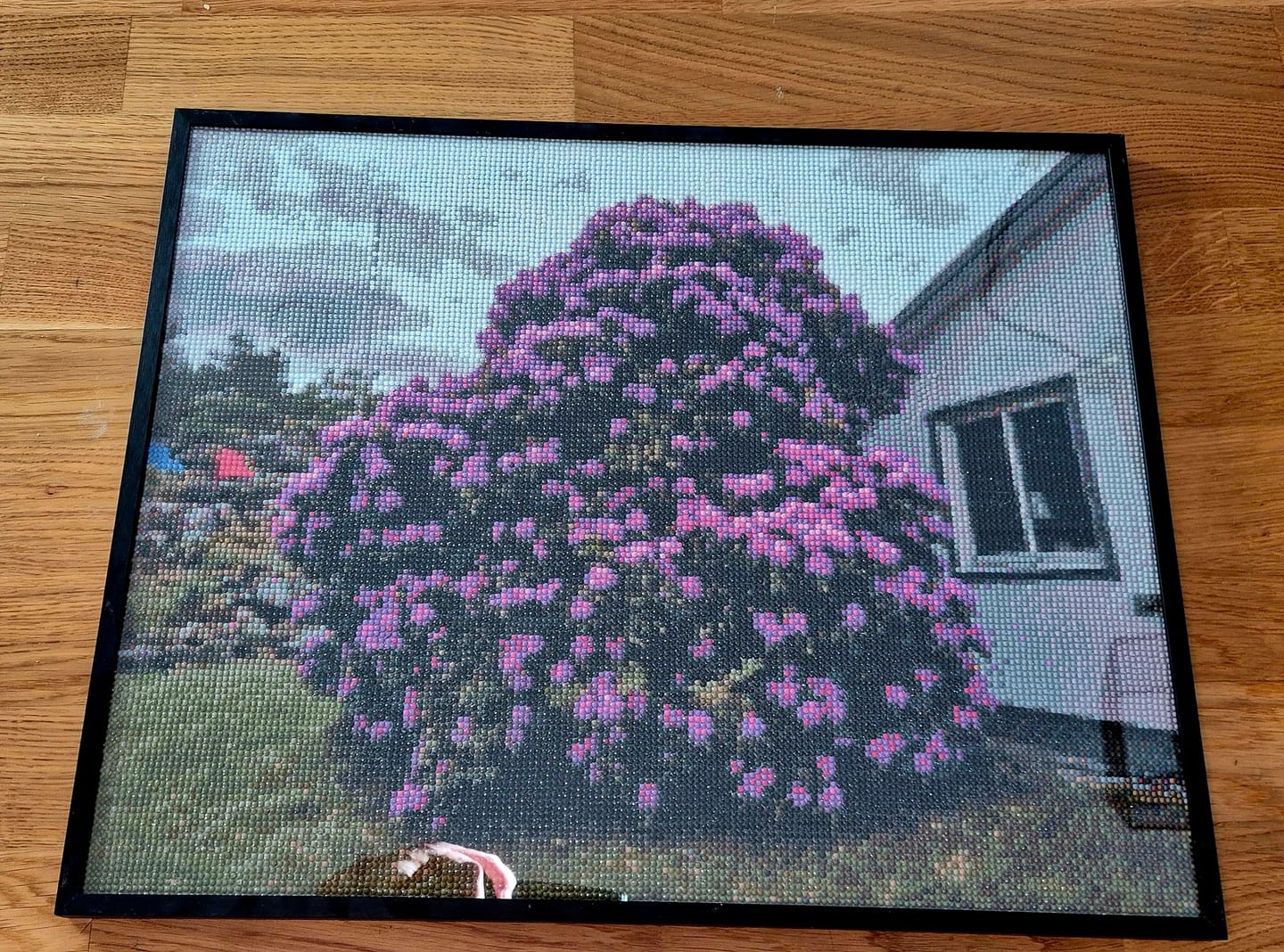 Customer photo review of Eget Foto Diamond Painting