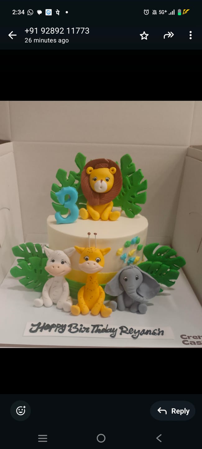 Customer photo review of Animal Party Birthday Cake