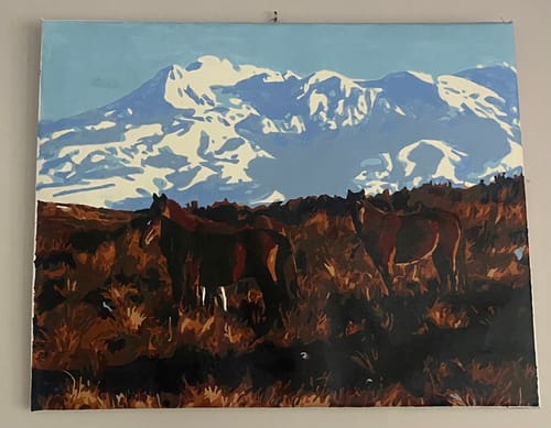 Customer photo review of Kaimanawa Horses