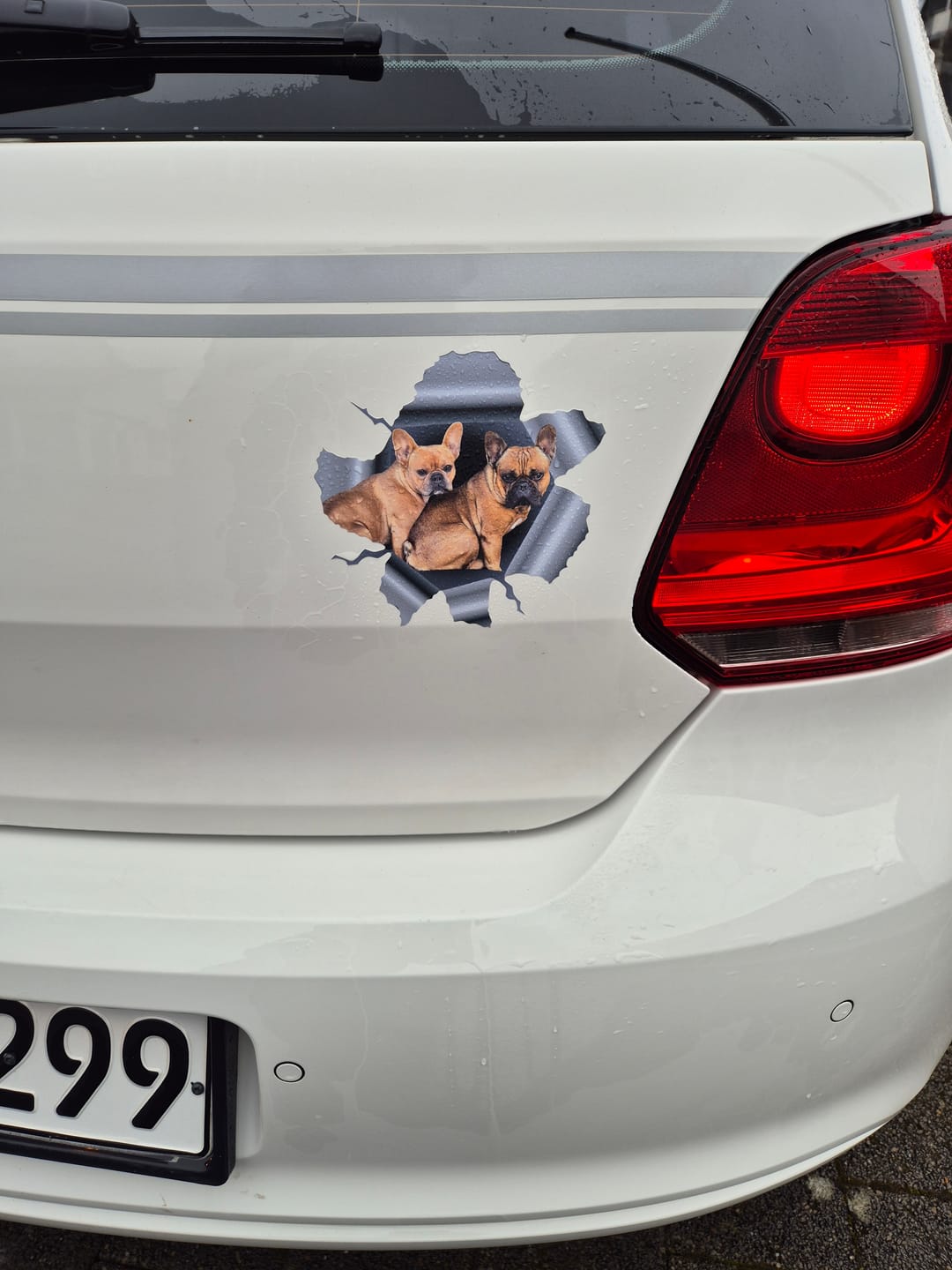Customer photo review of Spähendes Foto - Individueller Autoaufkleber