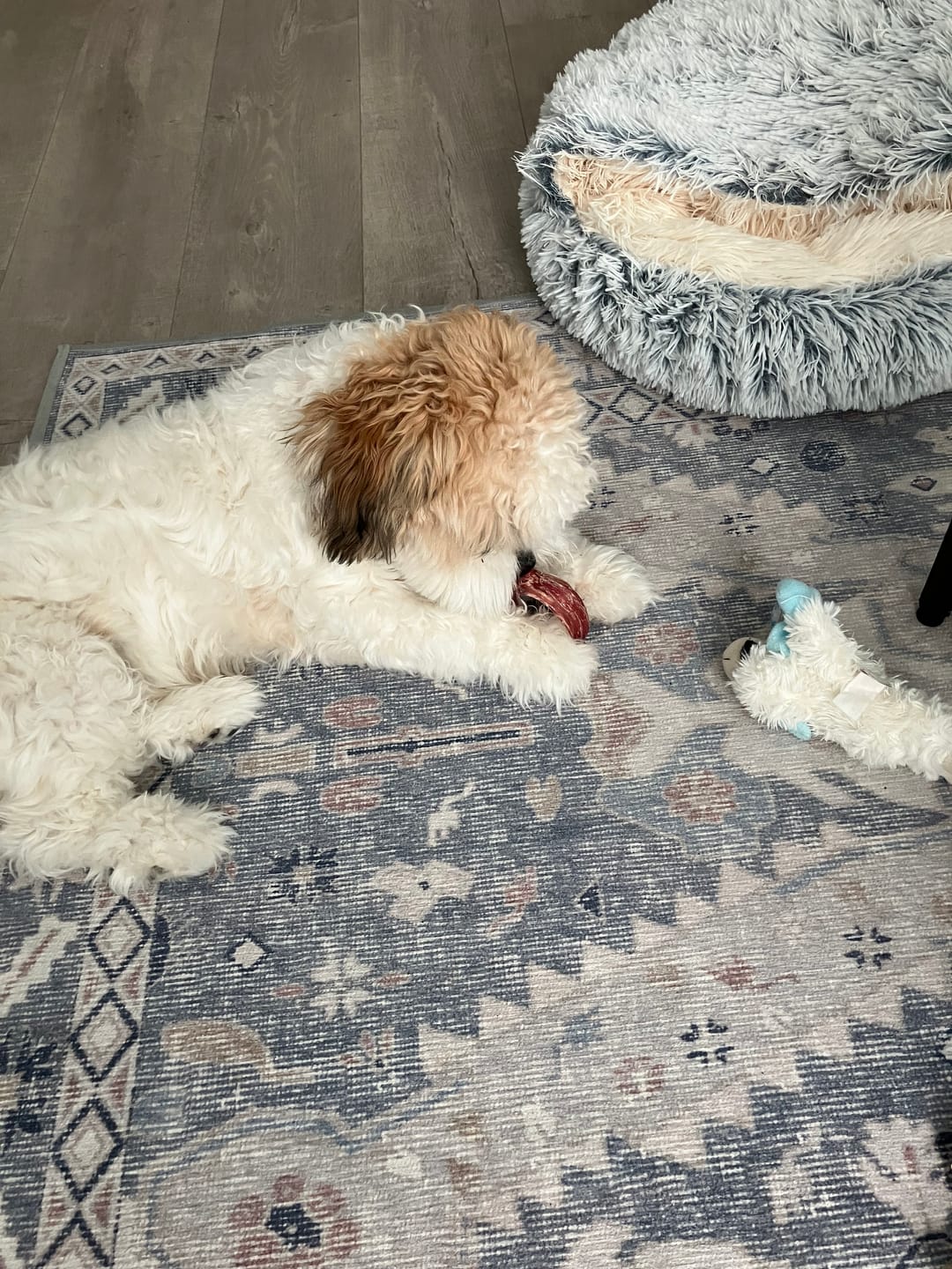 Customer photo review of Small Bully Stick Ring