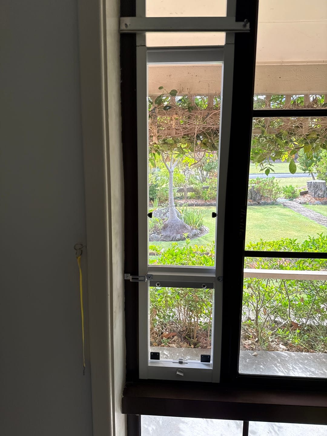 Customer photo review of Cat Door, Cat Window Insert