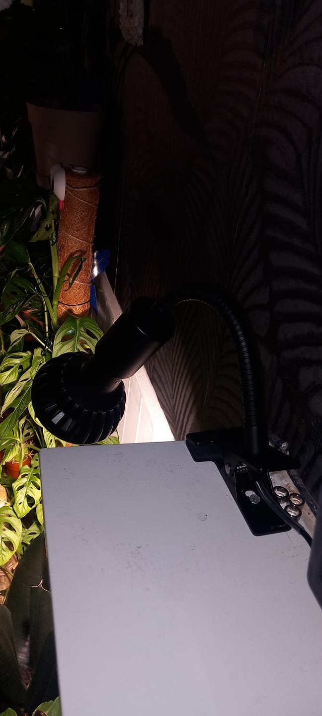 Customer photo review of Stelo Gooseneck Clip-On Bulb Holder