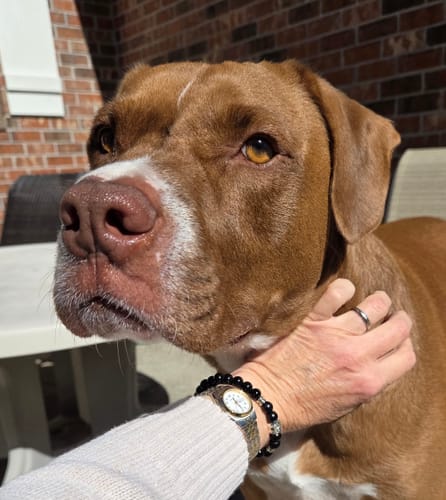 Customer photo review of THE PAW - "TAKE ME HOME TONIGHT"