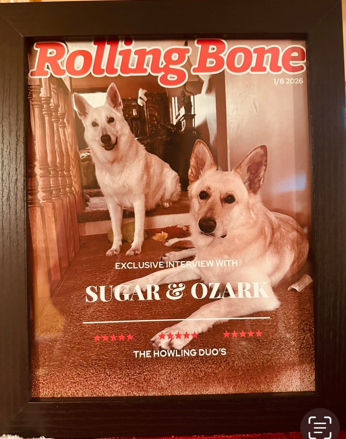Customer photo review of Pet Portrait Magazine Cover