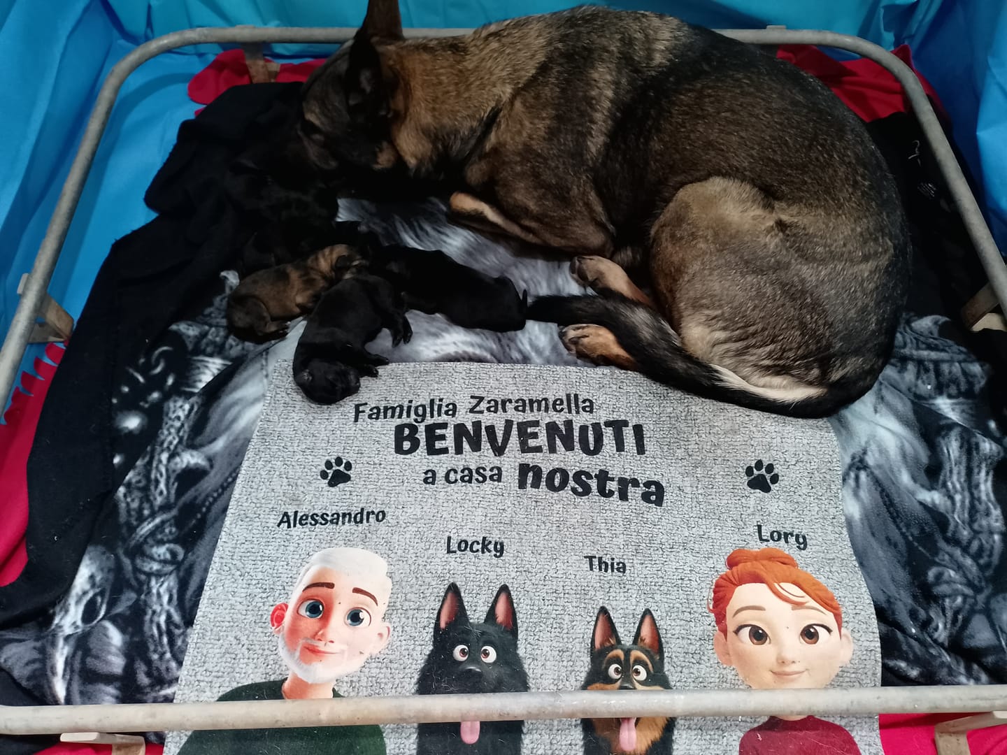 Customer photo review of Casa nostra - Zerbino personalizzato
