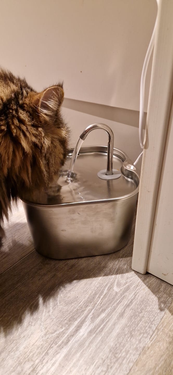 Customer photo review of VitaCat Drikkefontene - 2.2L