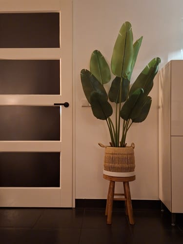 Customer photo review of Strelitzia Kunstplant 120cm