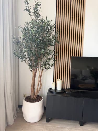 Customer photo review of Pre-Order Kunst Olijfboom 180cm (begin feb '26)
