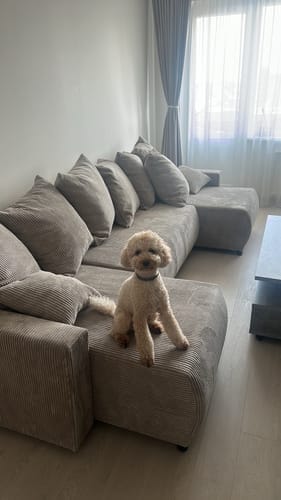 Customer photo review of Stūra dīvāns POLO U