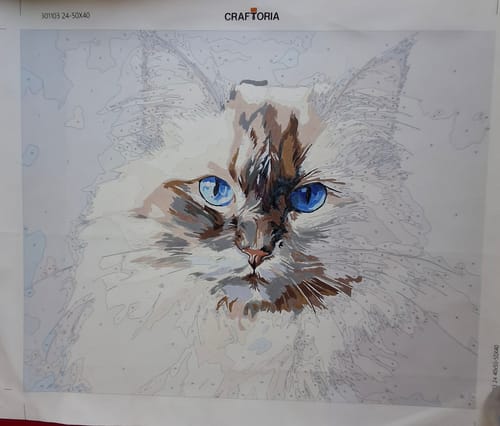 Customer photo review of Birman Cat No 2