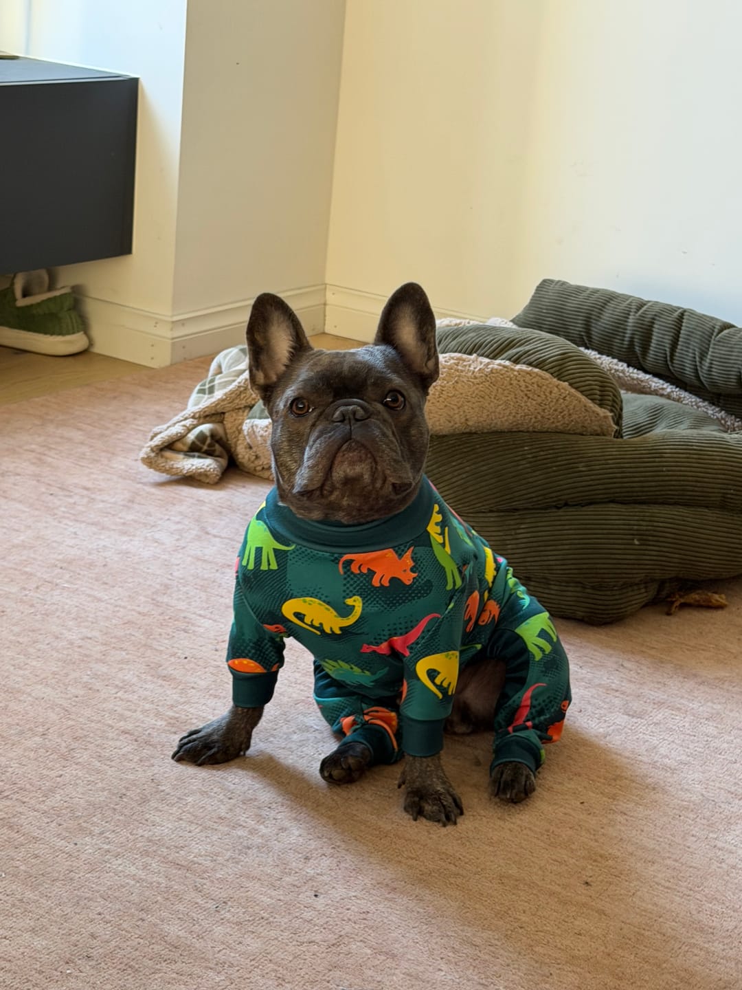 Customer photo review of Dog Pajama - Dinosaurs