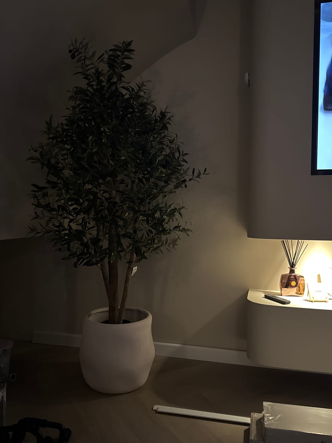Customer photo review of Pre-order Kunst Olijfboom 165cm Deluxe (begin feb '26)