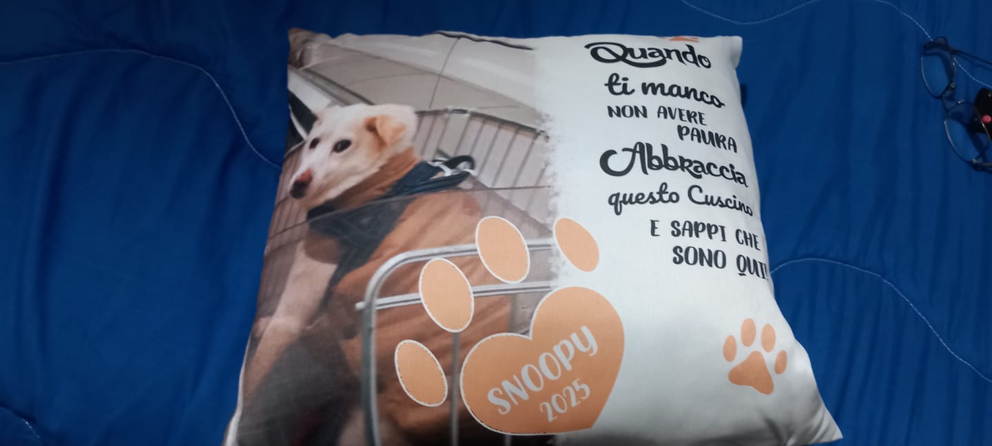 Customer photo review of Quando ti manco - Cuscino personalizzato