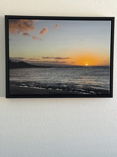 Customer photo review of Create Your Own Canvas Set - Landscape
