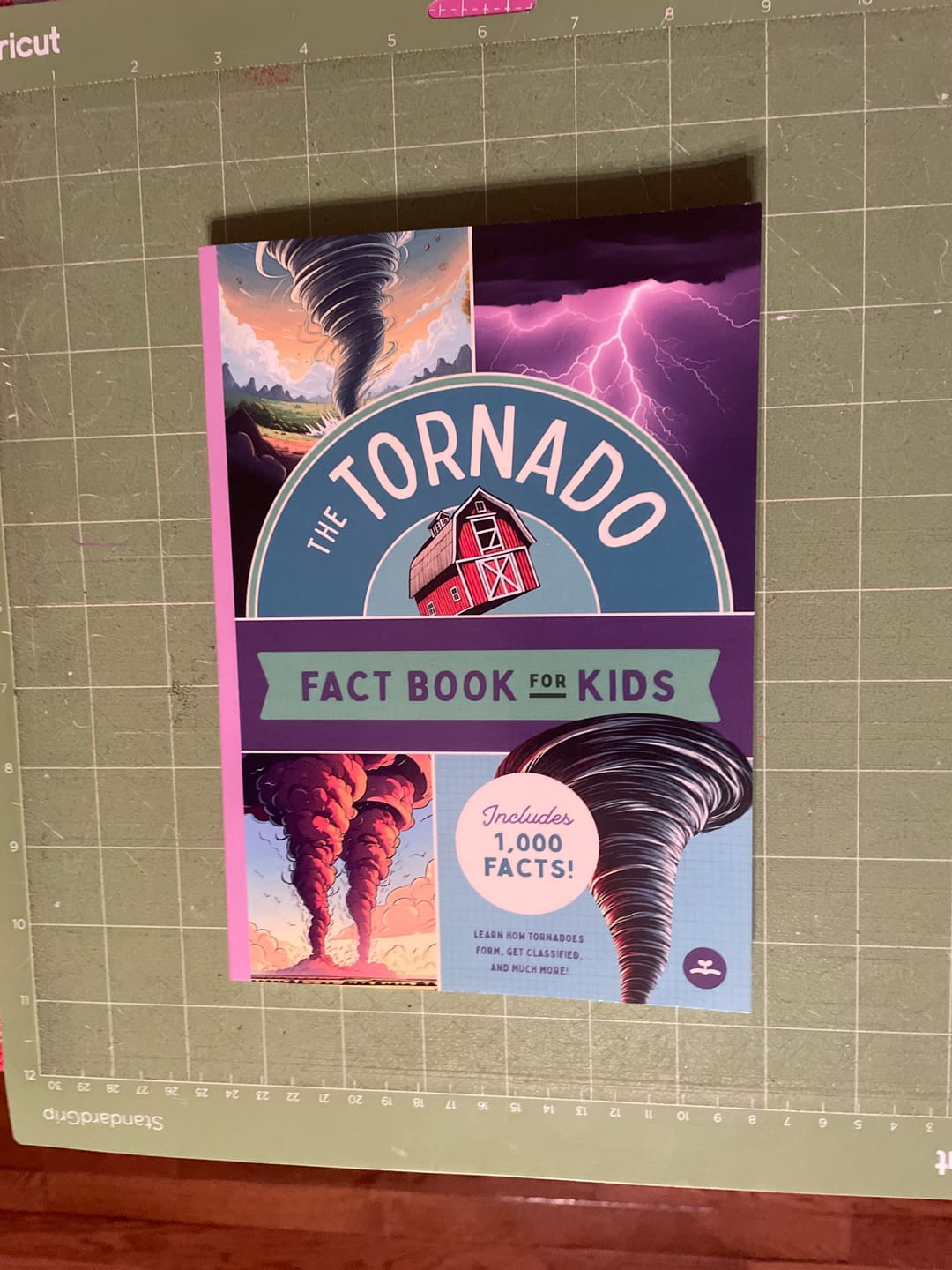 Customer photo review of The Tornado Fact Book for Kids