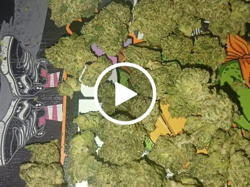 Customer video review of THCa Exotic Mediums & Smalls