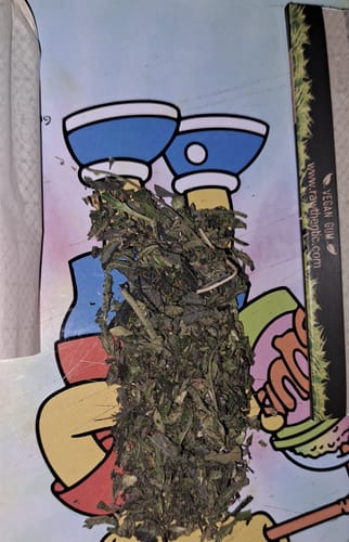 Customer photo review of Exotic Shake