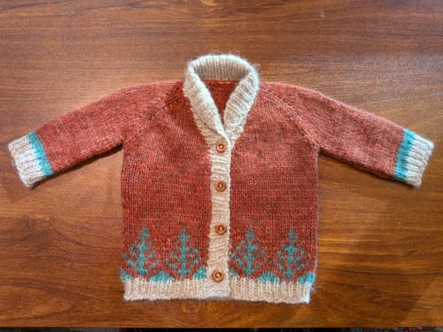 Customer photo review of Gazzal Alpaca Air