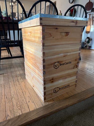 Customer photo review of BeeCastle Hives 10 Frame Wax Dipped Complete Beehive Kit:2 Designed Deep Bee Boxes and 1 Super Medium Box,Includes Premium Wooden Frames and Beeswax-Plastic Foundation