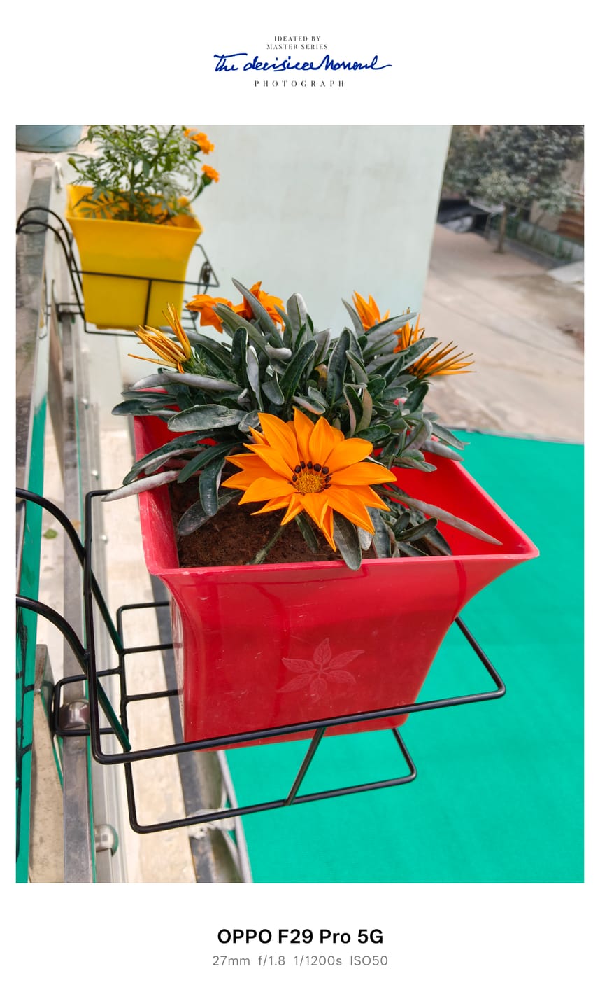 Customer photo review of Metal Railing Pot Stand & Decorative Pots Holder