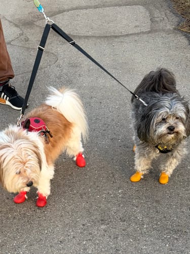 Customer photo review of WagWellies® by wagwear