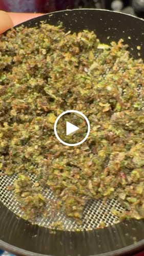 Customer video review of Miracle Alien Cookies (CALI) THCA Flower