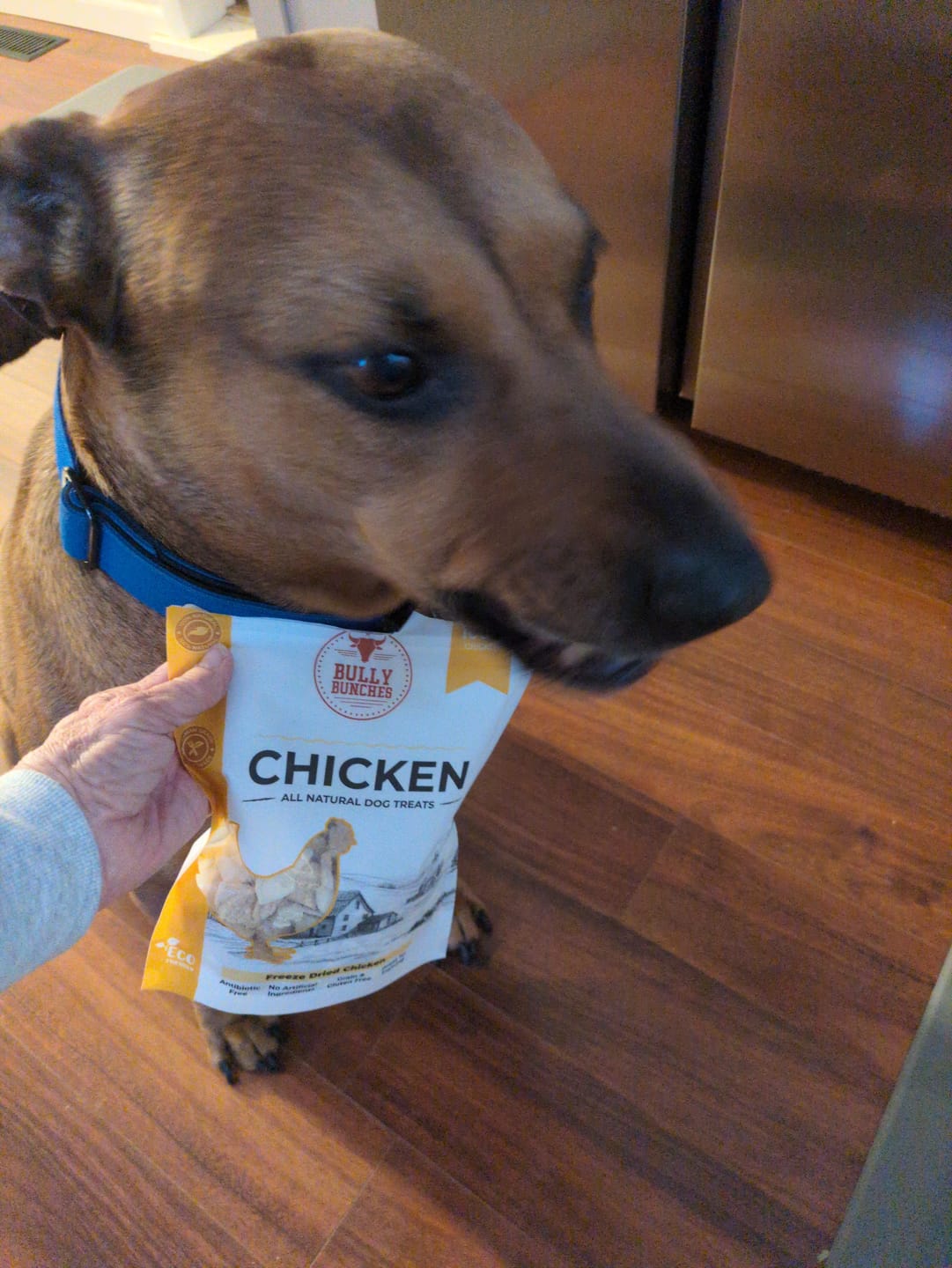 Customer photo review of Freeze Dried Flavor Bundle (3.52 oz x3)