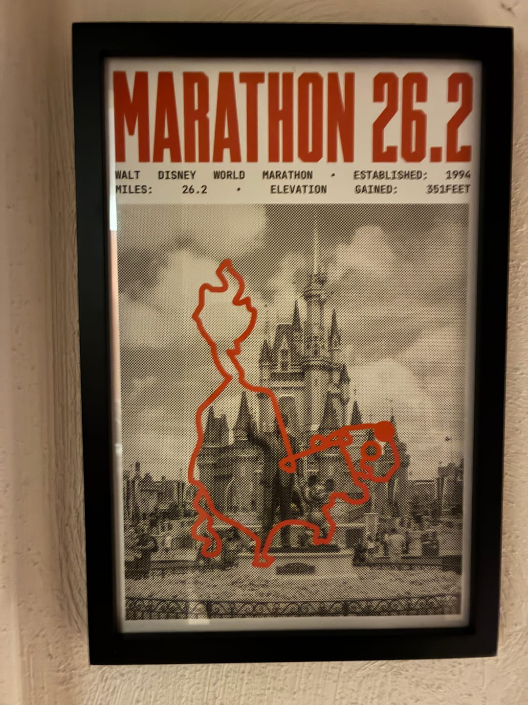 Customer photo review of Walt Disney World Marathon Poster