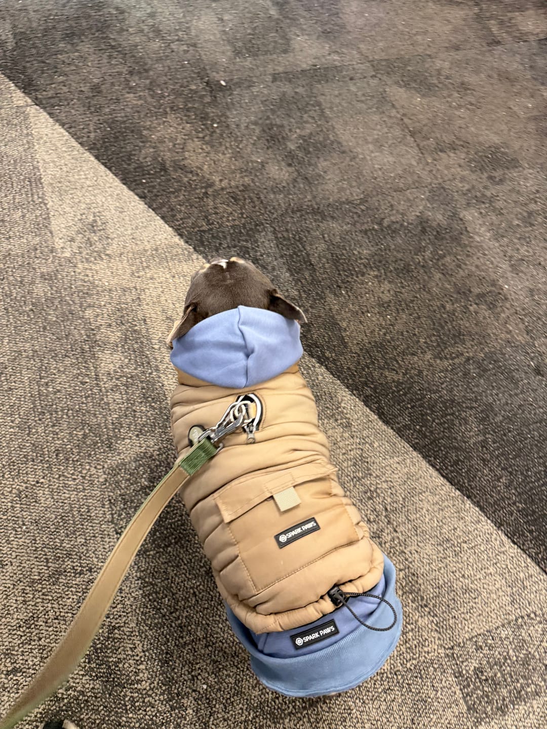 Customer photo review of WarmShield Water-Resistant Jackets