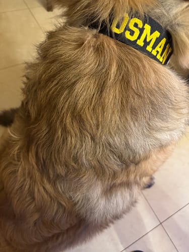 Customer photo review of Obroża dla psa z imieniem - Personal Extreme