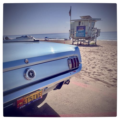 Customer photo review of CALIFORNIA THE ENDLESS SUMMER LICENSE PLATE 6"x12" (156.5mm x 305mm)