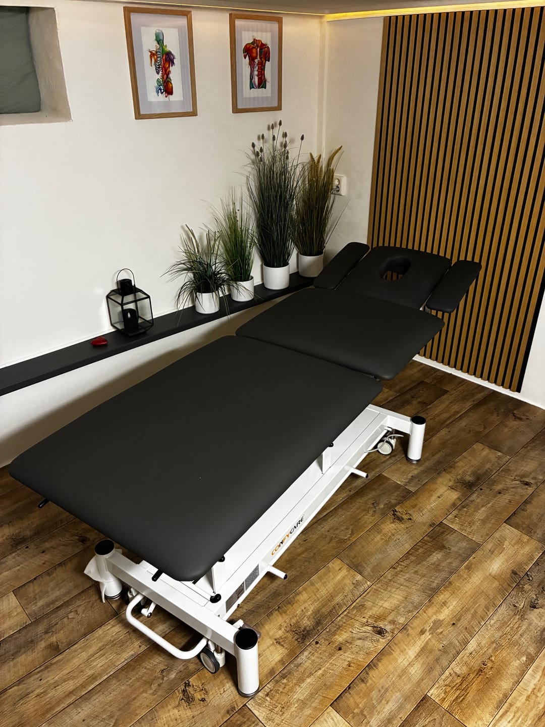 Customer photo review of Elektrische Therapieliege SPLIT | 5-Segmente