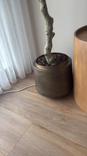 Customer photo review of 10 liter Frans Boomschors