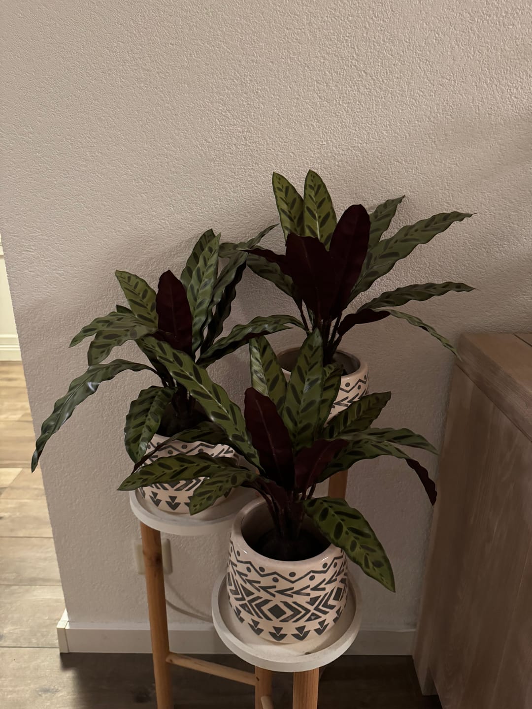 Customer photo review of Calathea Kunstplant 45cm